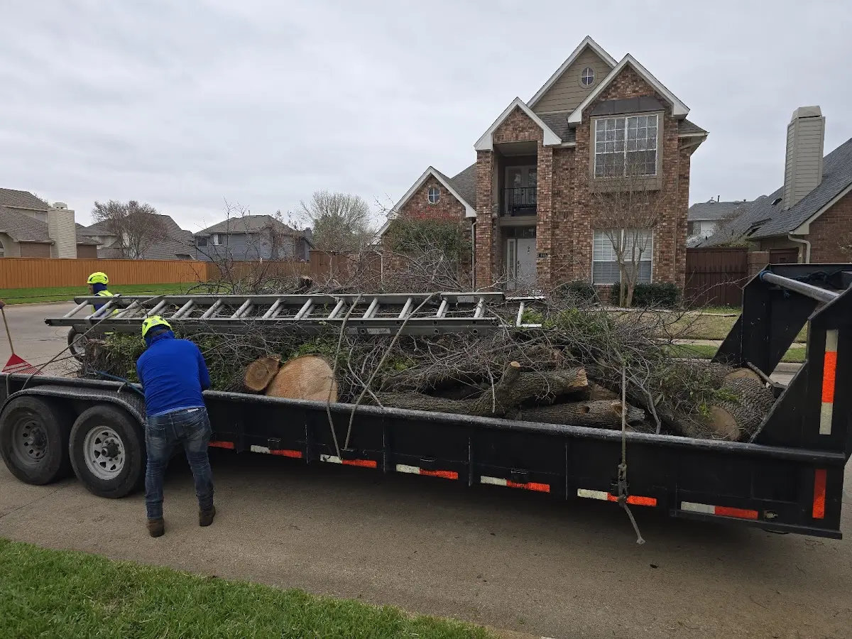 Expert Tree Fertilization with proper safety equipment in Camargo